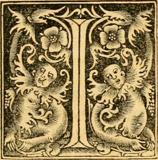 An illustration from Novum Testamentum omne, multo quàm antehac diligentius ab Erasmo Roterodamo recognitu, emedatum ac translatum ... : uná cu annotationibus recognitis, ac magna accessione locupletatis ..., 1519, leaf 651