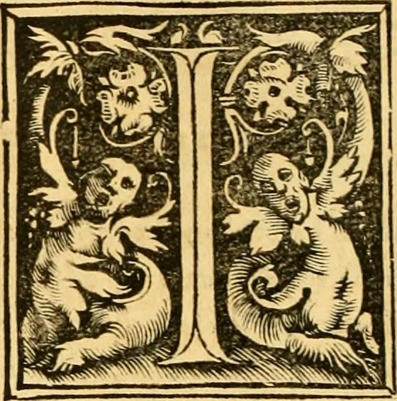 An illustration from Novum Testamentum omne, multo quàm antehac diligentius ab Erasmo Roterodamo recognitu, emedatum ac translatum ... : uná cu annotationibus recognitis, ac magna accessione locupletatis ..., 1519, leaf 651