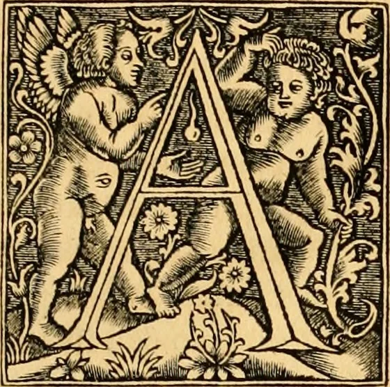 An illustration from Novum Testamentum omne, multo quàm antehac diligentius ab Erasmo Roterodamo recognitu, emedatum ac translatum ... : uná cu annotationibus recognitis, ac magna accessione locupletatis ..., 1519, leaf 654