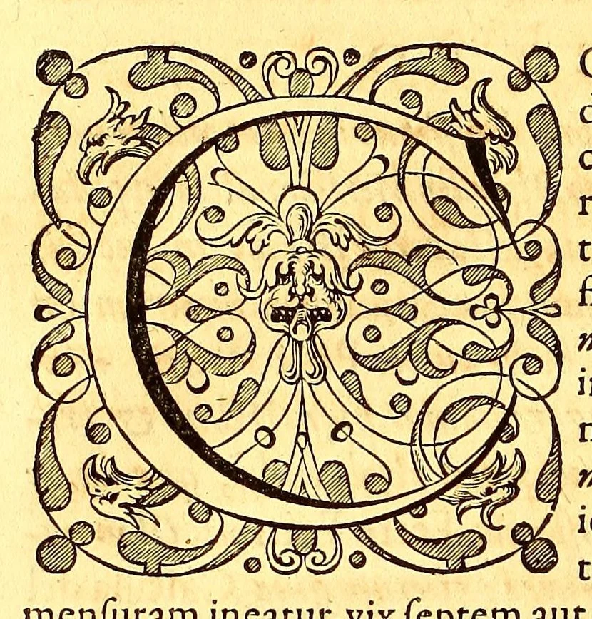 An illustration from Novus orbis seu Descriptionis Indiae Occidentalis, libri XVIII., 1633, leaf 312