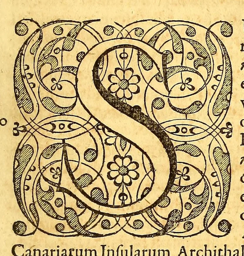 An illustration from Novus orbis seu Descriptionis Indiae Occidentalis, libri XVIII., 1633, leaf 341