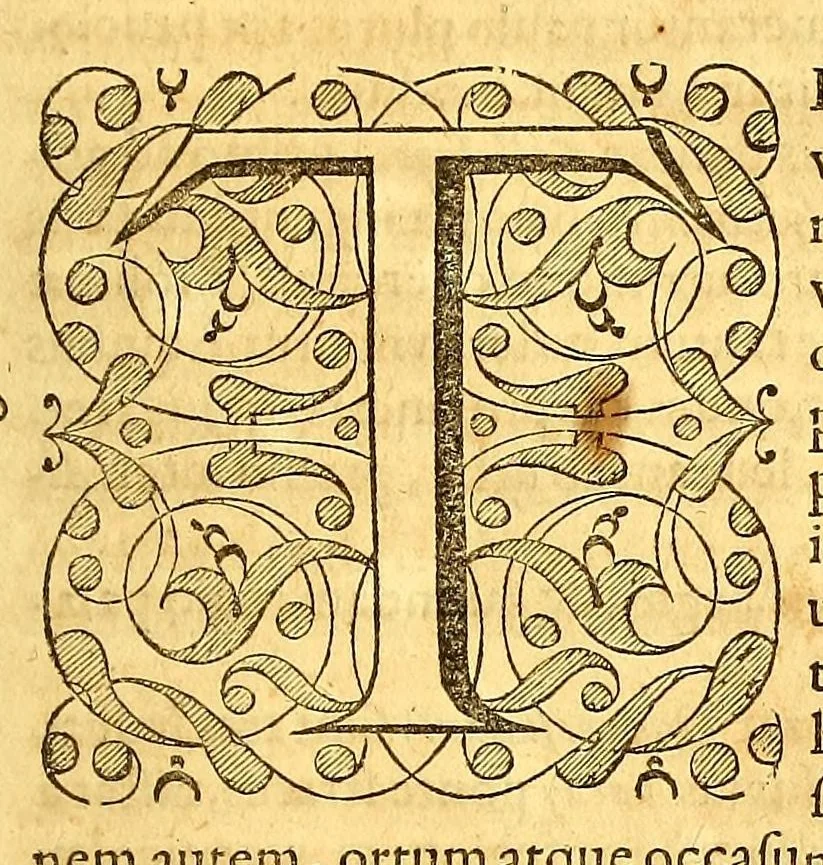 An illustration from Novus orbis seu Descriptionis Indiae Occidentalis, libri XVIII., 1633, leaf 423