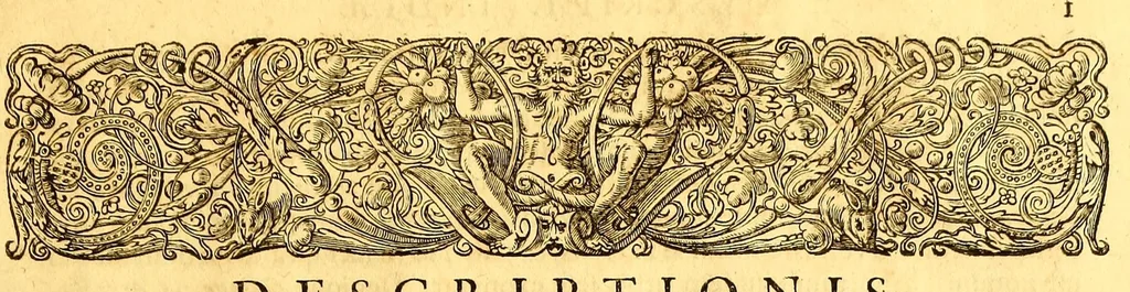 An illustration from Novus orbis seu Descriptionis Indiae Occidentalis, libri XVIII., 1633, leaf 45