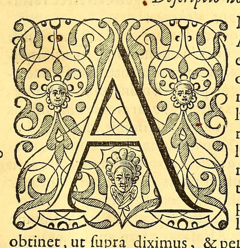 An illustration from Novus orbis seu Descriptionis Indiae Occidentalis, libri XVIII., 1633, leaf 659