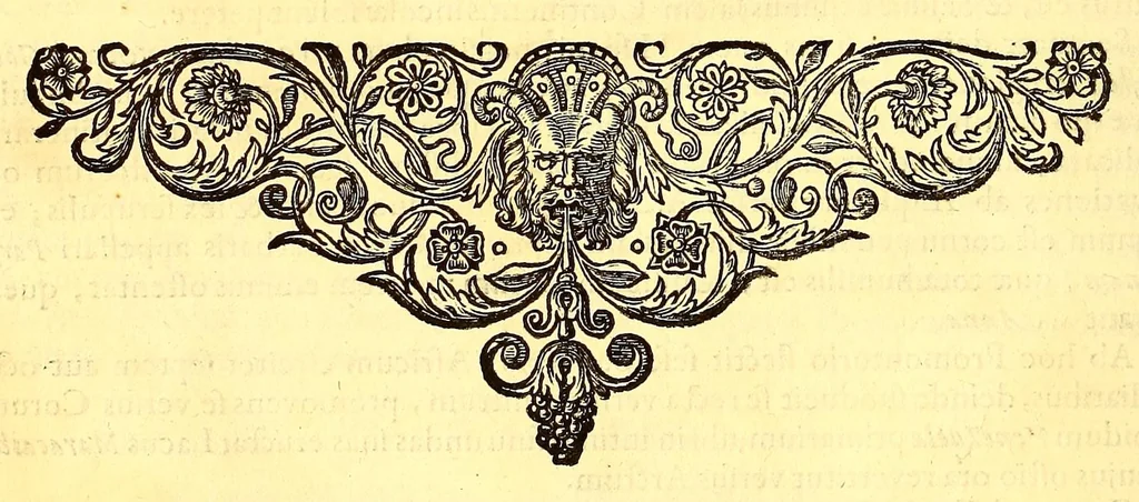 An illustration from Novus orbis seu Descriptionis Indiae Occidentalis, libri XVIII., 1633, leaf 682