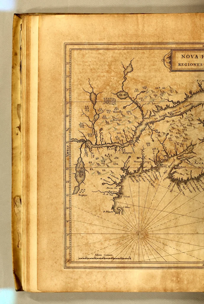 An illustration from Novus orbis seu Descriptionis Indiae Occidentalis, libri XVIII., 1633, leaf 76