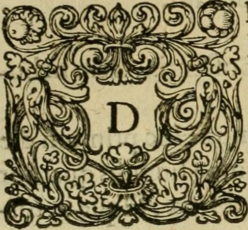 An illustration from Novus Orbis, sive, Descriptio Indiae Occidentalis, 1622, leaf 162