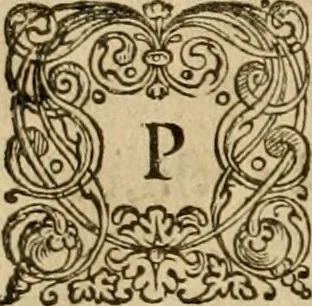 An illustration from Novus Orbis, sive, Descriptio Indiae Occidentalis, 1622, leaf 229