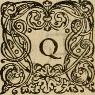 An illustration from Novus Orbis, sive, Descriptio Indiae Occidentalis, 1622, leaf 273