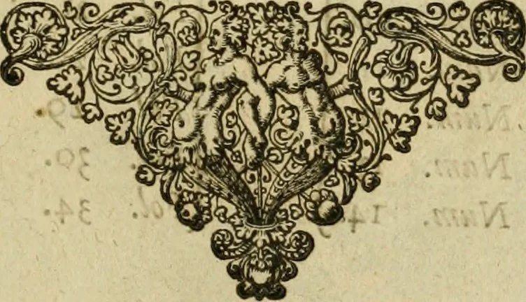 An illustration from Novus Orbis, sive, Descriptio Indiae Occidentalis, 1622, leaf 4