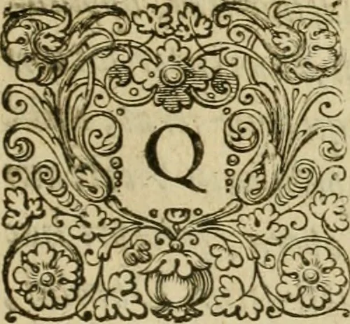 An illustration from Novus Orbis, sive, Descriptio Indiae Occidentalis, 1622, leaf 8
