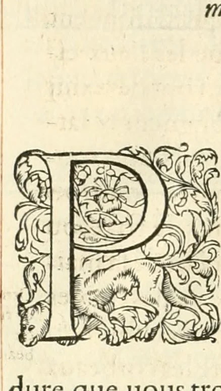 An illustration from Novvelles inventions povr bien bastir et a petits fraiz, 1561, leaf 107