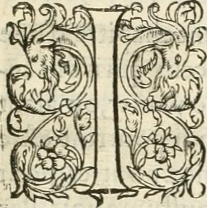 An illustration from Novvelles inventions povr bien bastir et a petits fraiz, 1561, leaf 110