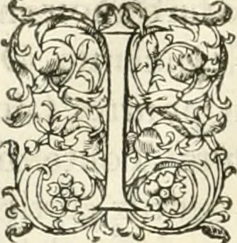 An illustration from Novvelles inventions povr bien bastir et a petits fraiz, 1561, leaf 111