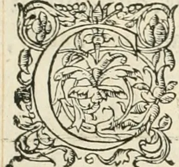 An illustration from Novvelles inventions povr bien bastir et a petits fraiz, 1561, leaf 116