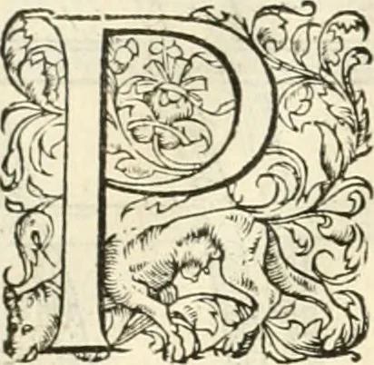 An illustration from Novvelles inventions povr bien bastir et a petits fraiz, 1561, leaf 119