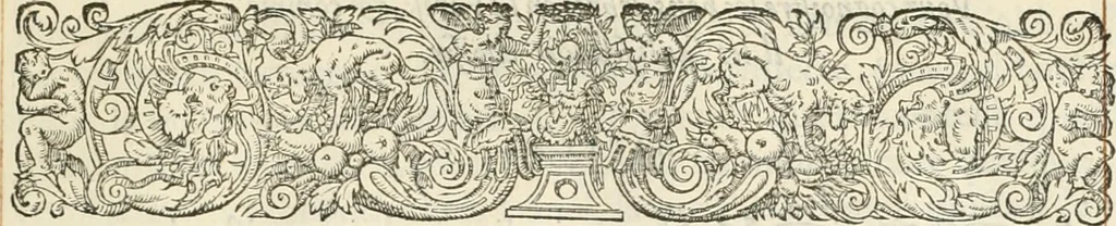 An illustration from Novvelles inventions povr bien bastir et a petits fraiz, 1561, leaf 16