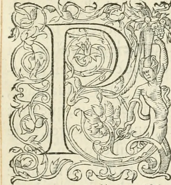 An illustration from Novvelles inventions povr bien bastir et a petits fraiz, 1561, leaf 16