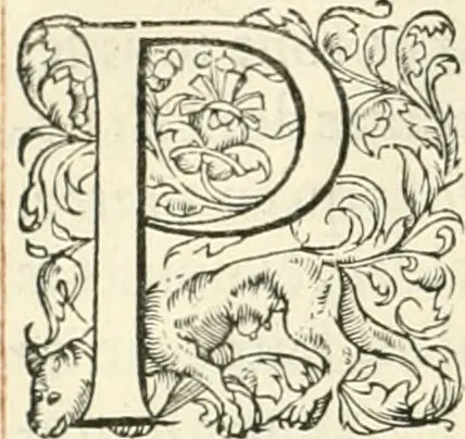 An illustration from Novvelles inventions povr bien bastir et a petits fraiz, 1561, leaf 25