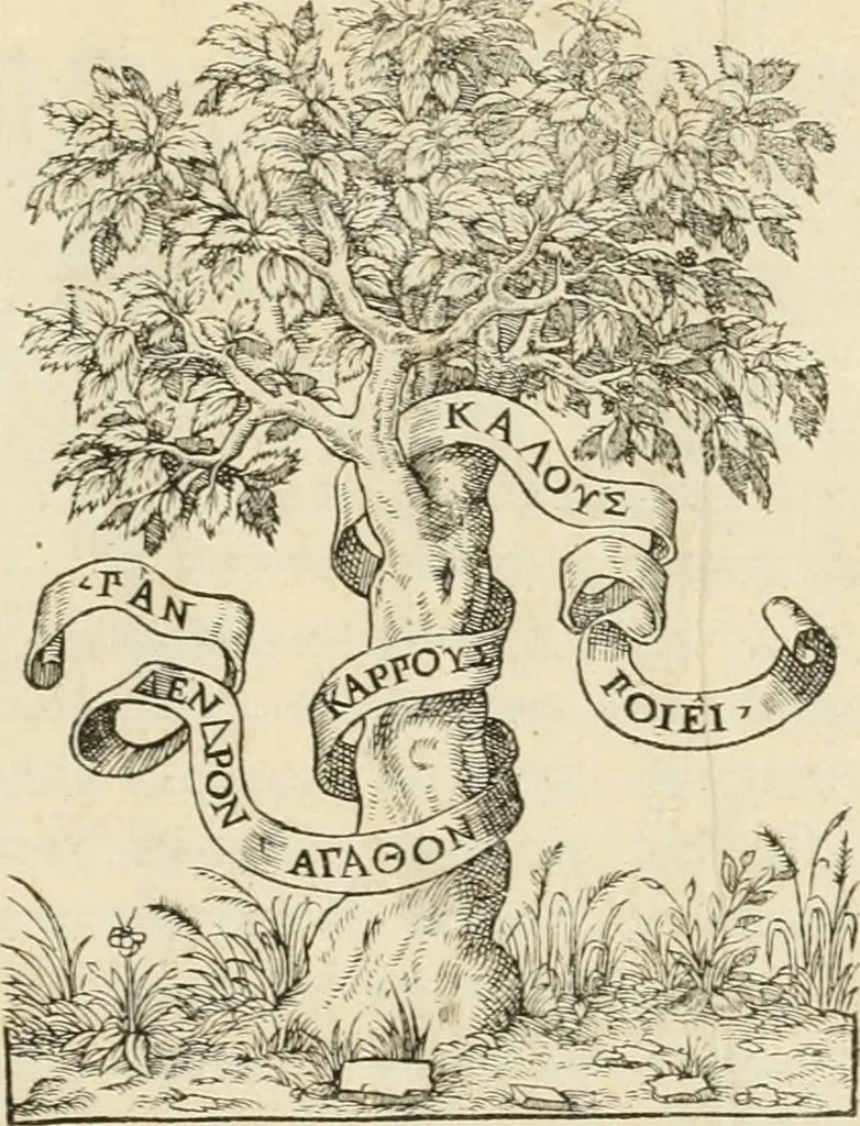 An illustration from Novvelles inventions povr bien bastir et a petits fraiz, 1561, leaf 4
