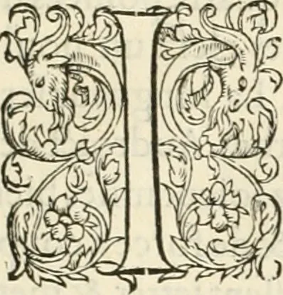 An illustration from Novvelles inventions povr bien bastir et a petits fraiz, 1561, leaf 48