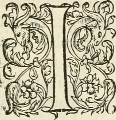 An illustration from Novvelles inventions povr bien bastir et a petits fraiz, 1561, leaf 56