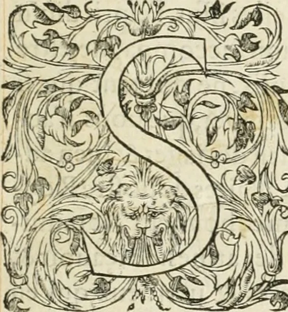 An illustration from Novvelles inventions povr bien bastir et a petits fraiz, 1561, leaf 6