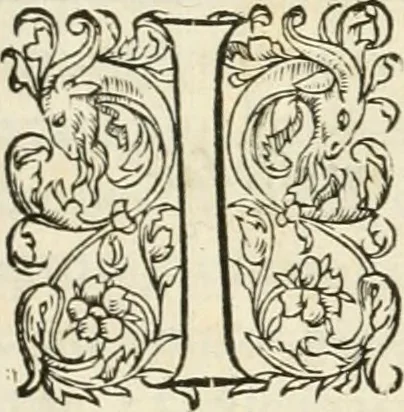 An illustration from Novvelles inventions povr bien bastir et a petits fraiz, 1561, leaf 70