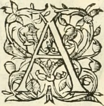 An illustration from Novvelles inventions povr bien bastir et a petits fraiz, 1561, leaf 99
