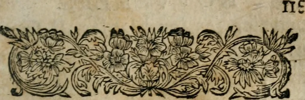 An illustration from Novvelles novvelles .., 1663, leaf 160