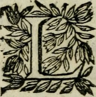 An illustration from Novvelles novvelles .., 1663, leaf 367