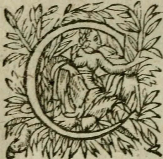 An illustration from Novvelles oevvres. Composées d'excellentes lettres françoises & latines. Soigneusement recueillies, mises en ordre & corrigées, 1641, leaf 305