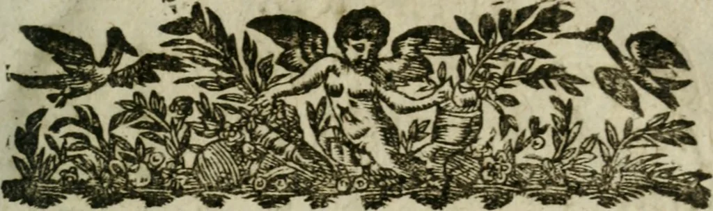 An illustration from Novvelles oevvres. Composées d'excellentes lettres françoises & latines. Soigneusement recueillies, mises en ordre & corrigées, 1641, leaf 8