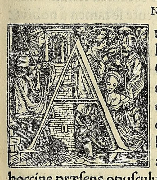 An illustration from Novvs Orbis regionvm ac insvlarvm veteribvs incognitarvm, unà cum tabula cosmographica, & aliquot alijs consimilis argumenti libellis, 1532, leaf 157