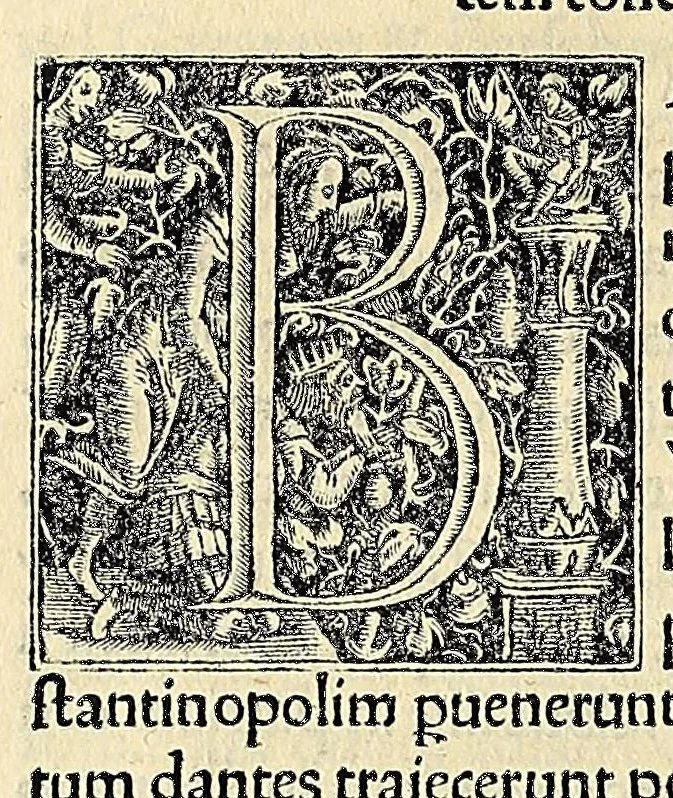 An illustration from Novvs Orbis regionvm ac insvlarvm veteribvs incognitarvm, unà cum tabula cosmographica, & aliquot alijs consimilis argumenti libellis, 1532, leaf 332