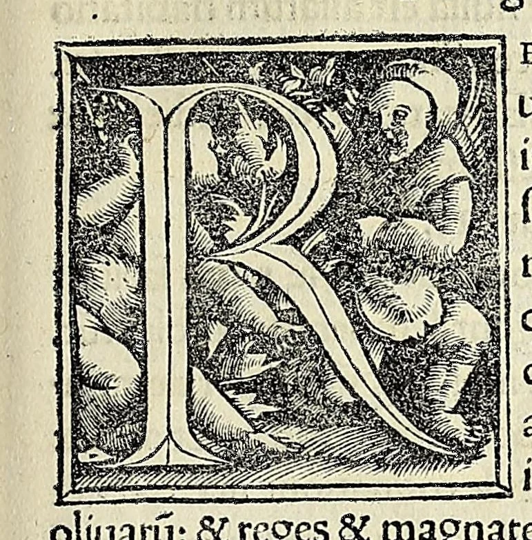 An illustration from Novvs Orbis regionvm ac insvlarvm veteribvs incognitarvm, unà cum tabula cosmographica, & aliquot alijs consimilis argumenti libellis, 1532, leaf 421