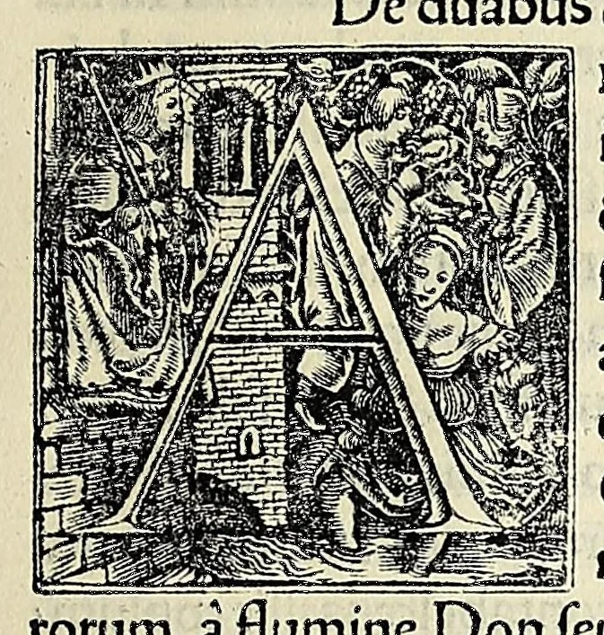 An illustration from Novvs Orbis regionvm ac insvlarvm veteribvs incognitarvm, unà cum tabula cosmographica, & aliquot alijs consimilis argumenti libellis, 1532, leaf 485