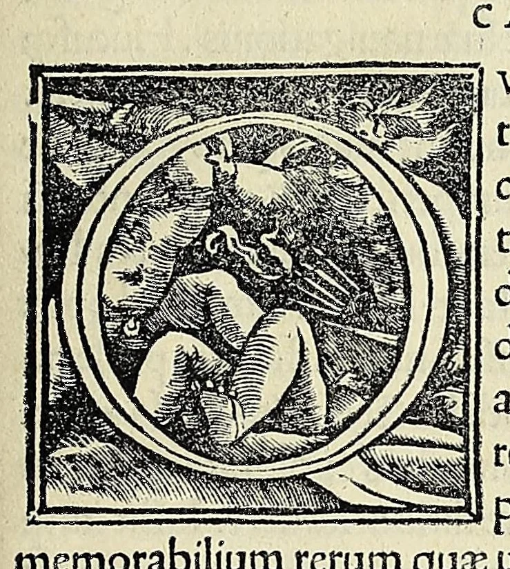 An illustration from Novvs Orbis regionvm ac insvlarvm veteribvs incognitarvm, unà cum tabula cosmographica, & aliquot alijs consimilis argumenti libellis, 1532, leaf 5