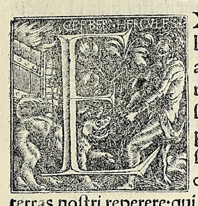 An illustration from Novvs Orbis regionvm ac insvlarvm veteribvs incognitarvm, unà cum tabula cosmographica, & aliquot alijs consimilis argumenti libellis, 1532, leaf 551