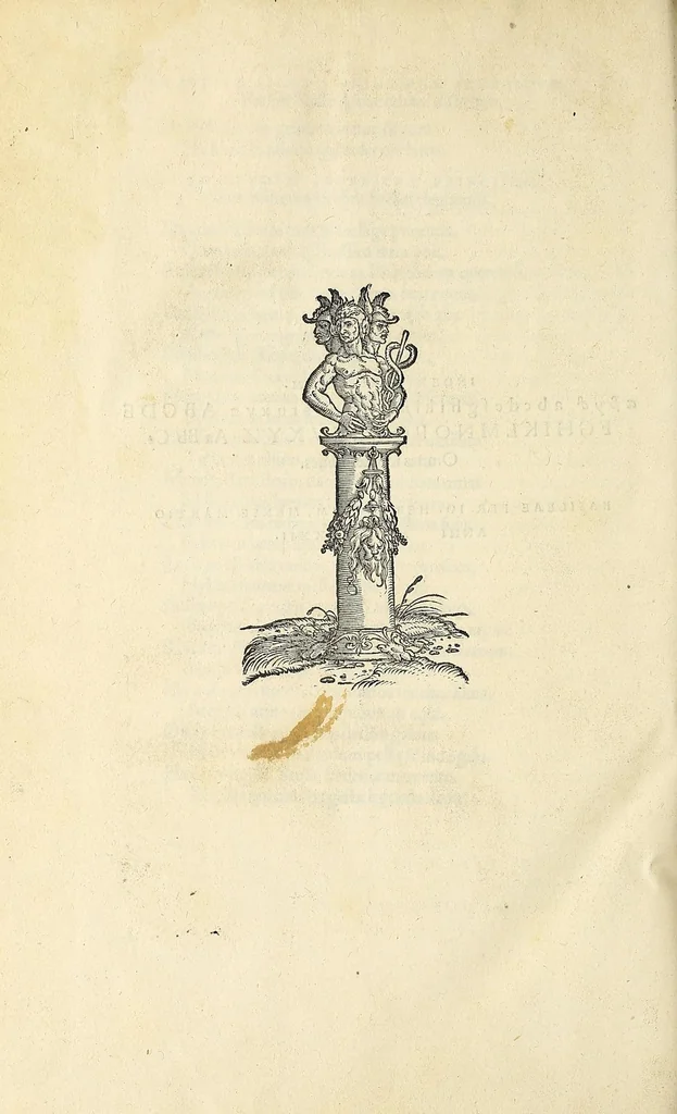 An illustration from Novvs Orbis regionvm ac insvlarvm veteribvs incognitarvm, unà cum tabula cosmographica, & aliquot alijs consimilis argumenti libellis, 1532, leaf 590