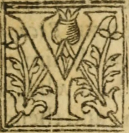 An illustration from The new covenant, or, The saints portion : a treatise unfolding the all-sufficiencie of God, mans uprightness, and the covenant of grace, delivered in fourteene sermons upon Gen. 17. 1.2. ; Whereunto are adioyned foure sermons upon Eccles. 9. 1.2, 11.12, 1631, leaf 596