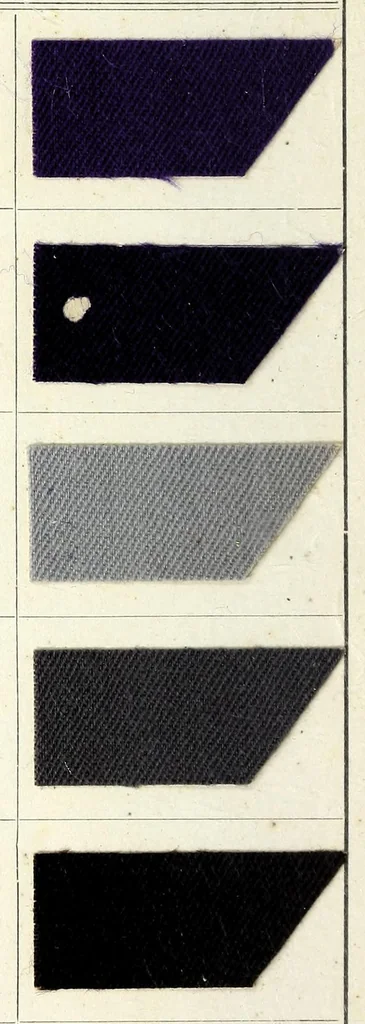 An illustration from Nuances saison = Fashionable shades, 1890, leaf 26