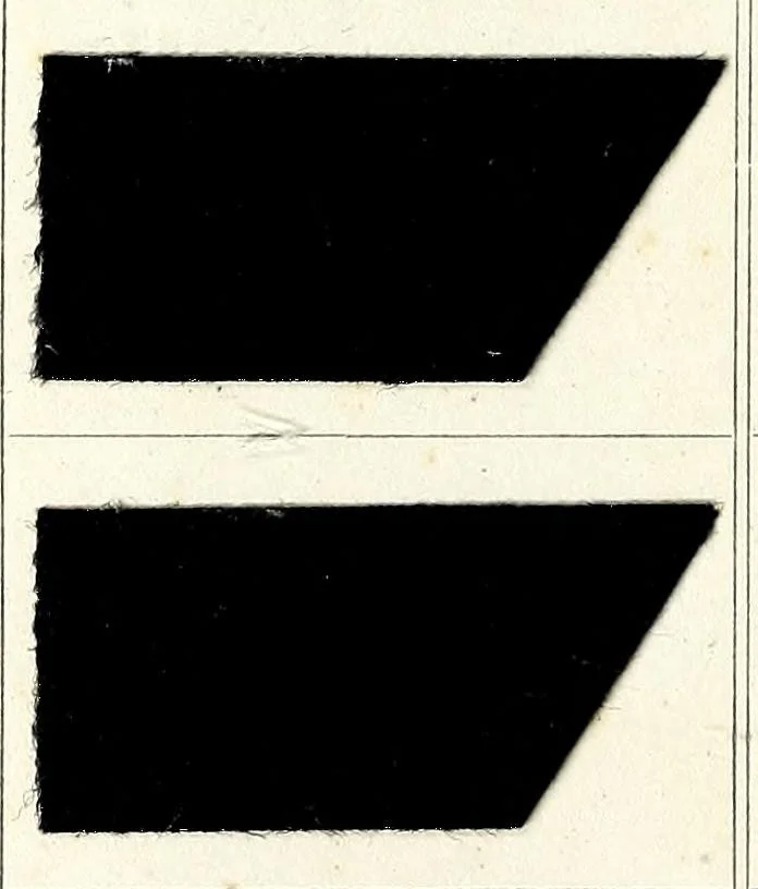 An illustration from Nuances saison = Fashionable shades, 1890, leaf 32