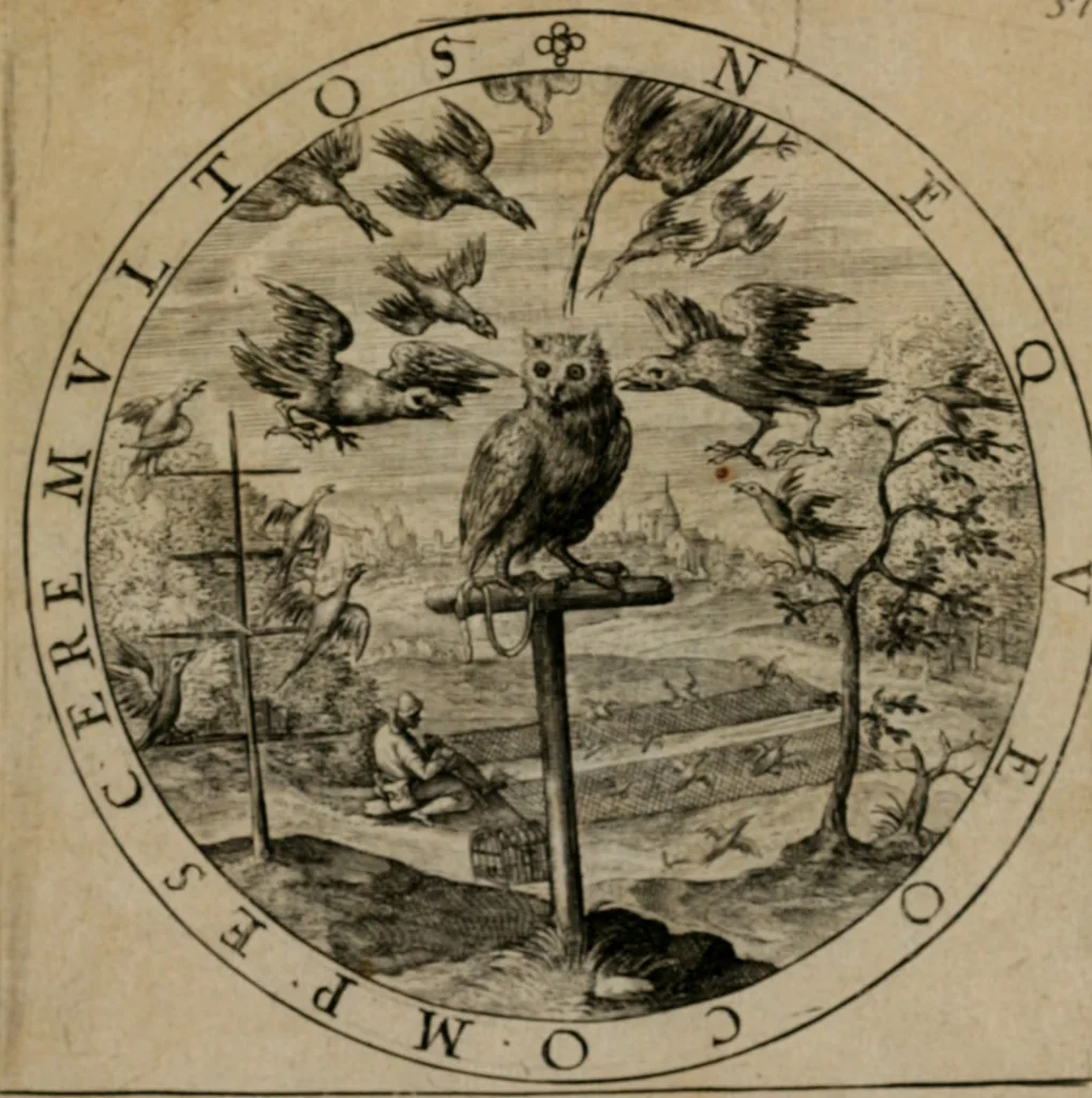An illustration from Nucleus emblematum selectissimorum : quae Itali vulgo impresas vocant priuata industria studio singulari, vndiq[e] conquisitus, non paucis venustis inuentionibus auctus, additis carminib[us] illustratus, 1611, leaf 114