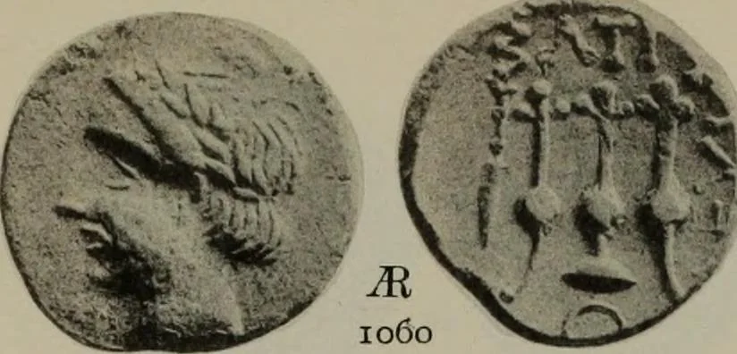 An illustration from Numismata graeca; Greek coin-types, classified for immediate identification, 1910, leaf 204
