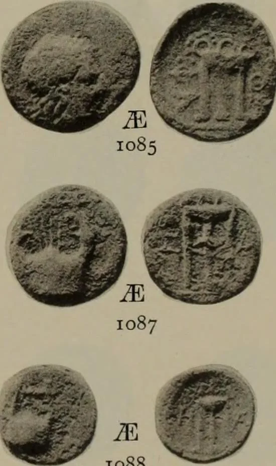 An illustration from Numismata graeca; Greek coin-types, classified for immediate identification, 1910, leaf 204