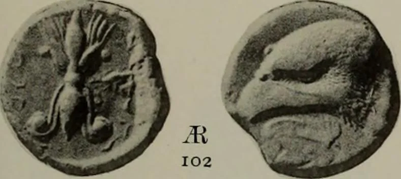An illustration from Numismata graeca; Greek coin-types, classified for immediate identification, 1910, leaf 584