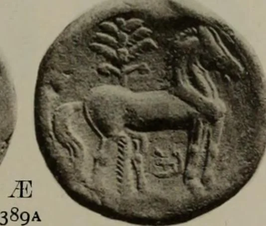 An illustration from Numismata graeca; Greek coin-types, classified for immediate identification, 1910, leaf 598