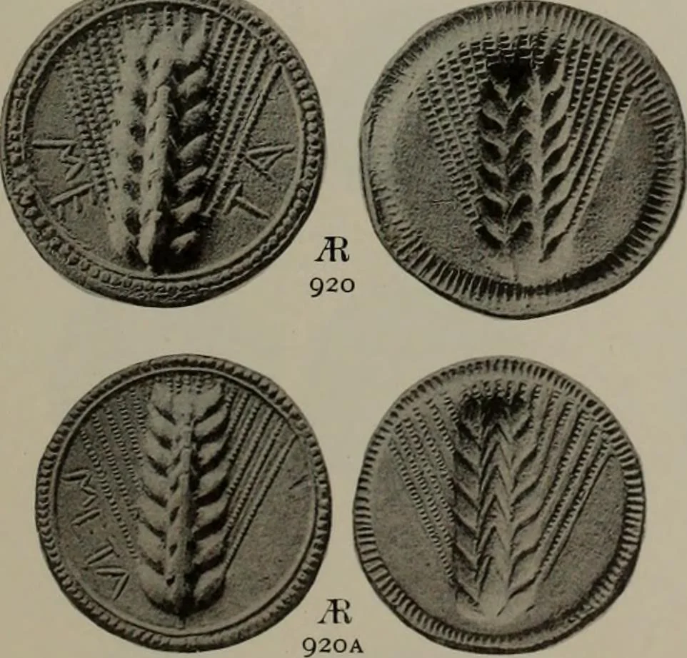 An illustration from Numismata graeca; Greek coin-types, classified for immediate identification, 1910, leaf 616