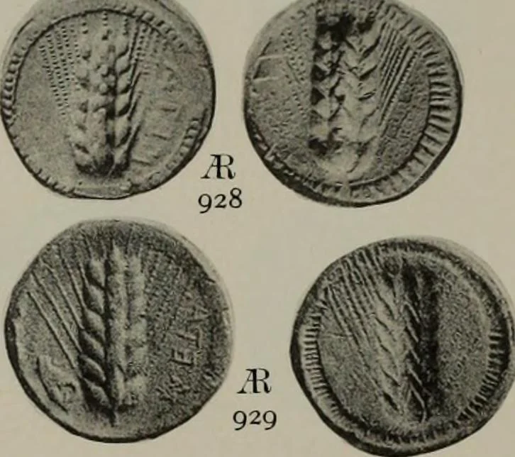 An illustration from Numismata graeca; Greek coin-types, classified for immediate identification, 1910, leaf 616